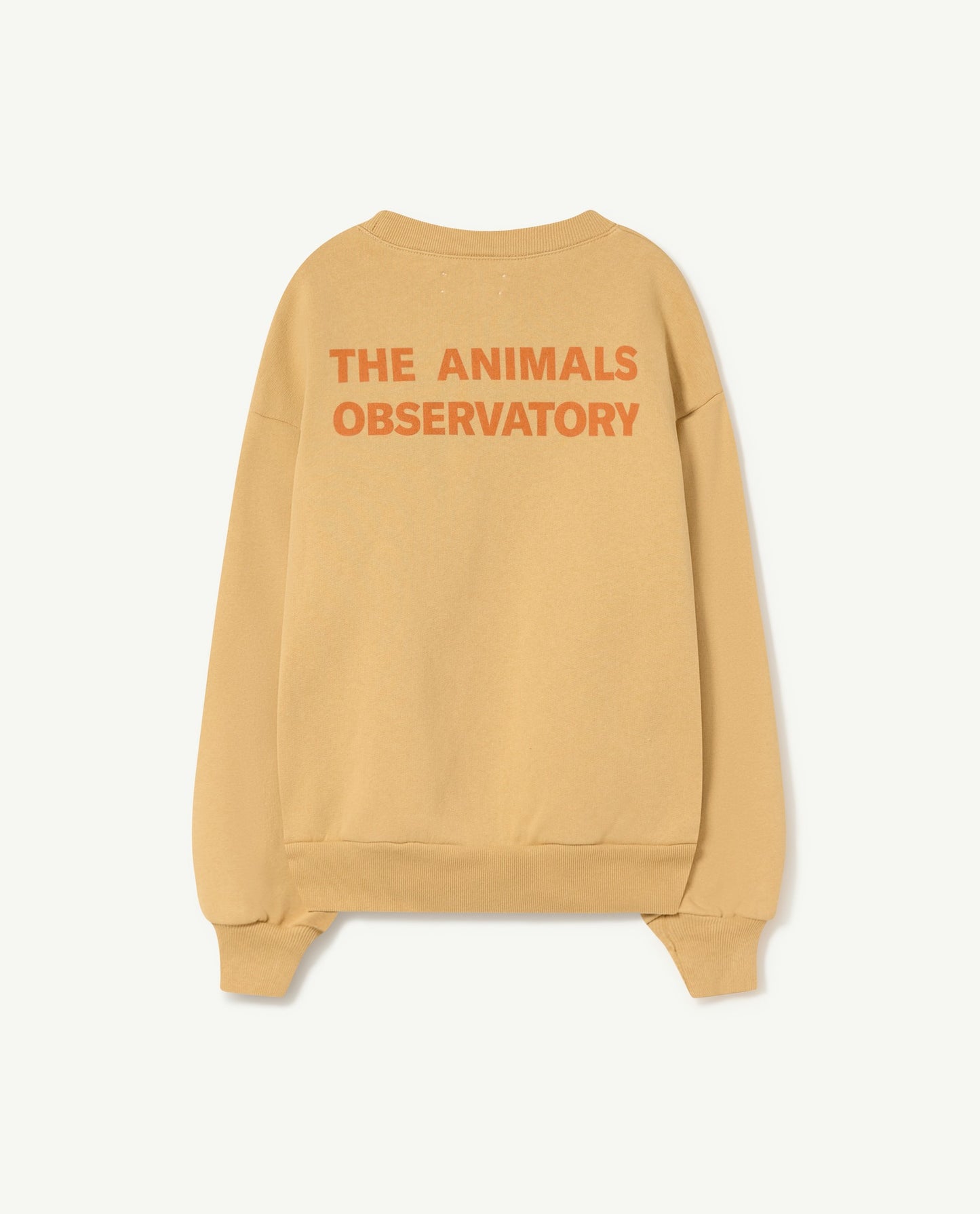 Bear Sweatshirt