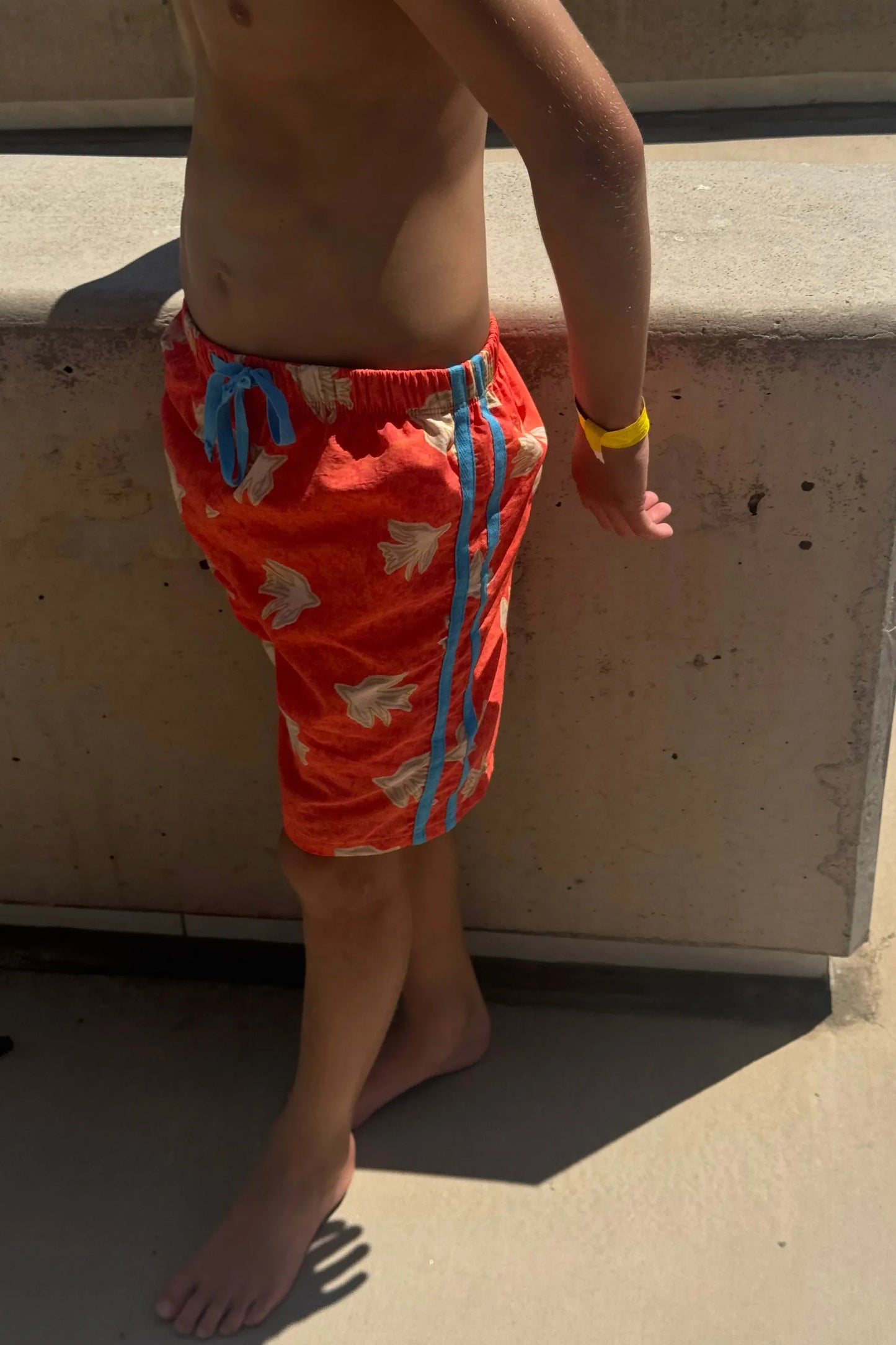 Boardies - Le Petit Oiseau