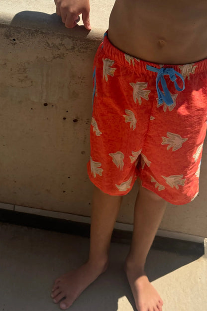 Boardies - Le Petit Oiseau