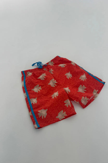 Boardies - Le Petit Oiseau